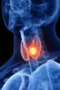Spokane-Thyroid-Imbalance-Treatment Spokane Thyroid Imbalance Treatment